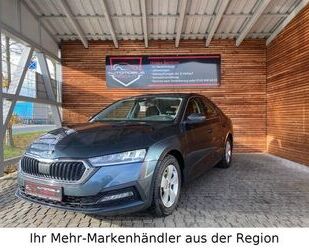 Skoda Skoda Octavia Lim. Ambition MHEV KAMERA APP SHZ Gebrauchtwagen