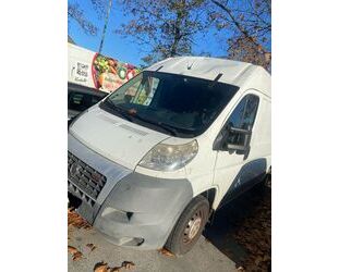 Fiat Fiat Ducato Multijet H2L2 Gebrauchtwagen