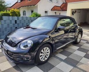 VW Beetle Gebrauchtwagen