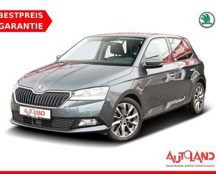 Skoda Skoda Fabia 1.0 TSI Clever OPF ACC Sitzheizung Kam Gebrauchtwagen