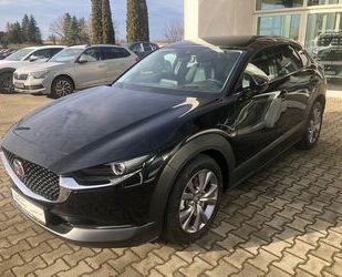 Mazda Mazda CX-30 2.0l Selection Design-Paket Premium-Pa Gebrauchtwagen