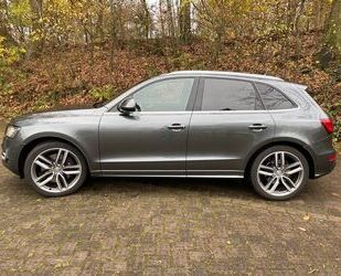 Audi Audi SQ5 3.0 TDI competition Leder Standheizung Gebrauchtwagen