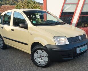 Fiat Fiat Panda 1.1 8V Active*I-Hand* Gebrauchtwagen