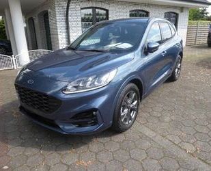 Ford Ford Kuga ST Line + Winterpaket - 4 Jahre FGS Gebrauchtwagen