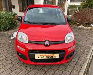 Fiat Fiat Panda Easy Gebrauchtwagen