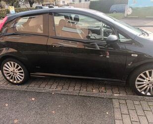 Fiat Fiat Punto 1.2 8V Go Go Gebrauchtwagen