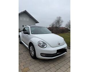 VW Volkswagen Beetle 1.2 TSI BMT CLUB CLUB Gebrauchtwagen