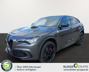 Alfa Romeo Alfa Romeo Stelvio Quadrifoglio MY24 QUADRIFOGLIO Gebrauchtwagen