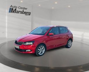 Skoda Skoda Fabia 1.2 TSI Joy Navi Sitzheizung LM KlimaA Gebrauchtwagen