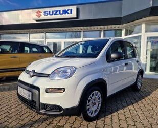 Fiat Fiat Panda MY22 Panda Hybrid Gebrauchtwagen