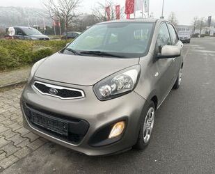 Kia Kia Picanto Edition 7 Gebrauchtwagen