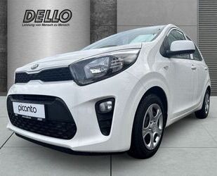 Kia Kia Picanto Edition 7 Klima BT Tel DAB Gebrauchtwagen