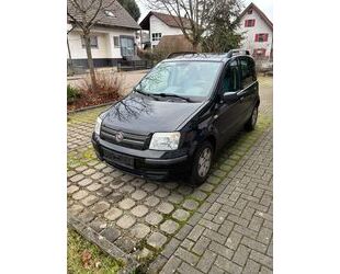 Fiat Fiat Panda 1.2 8V *TÜV*KLIMA*SERVO* Gebrauchtwagen