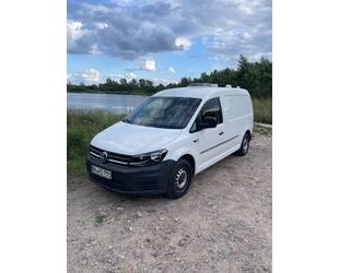 VW Volkswagen Caddy Maxi * DSG * AHK * Camper Ausbau Gebrauchtwagen