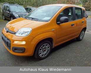 Fiat Fiat New Panda 1.2 8V EASY - 1.Hd./32 TKM Gebrauchtwagen