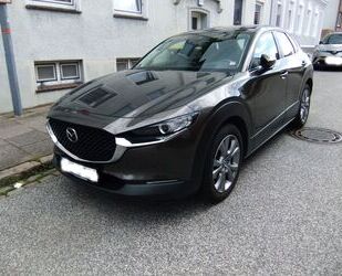 Mazda Mazda CX-30 2.0 e-SKYACTIV-X M-Hybrid Selection Se Gebrauchtwagen