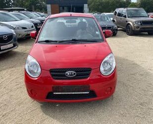 Kia Kia Picanto 1.1 Start, Klima, Servo,ZV,Alufelgen Gebrauchtwagen