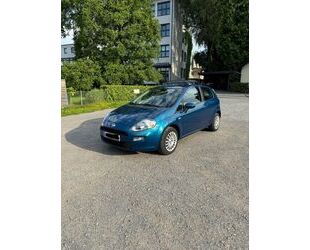 Fiat Fiat Punto Evo Gebrauchtwagen