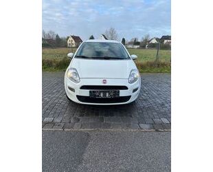 Fiat Fiat Punto 1.2 8V S S Gebrauchtwagen