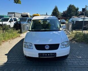 VW Volkswagen Caddy Maxi Life Behinderten Fahrzeug Gebrauchtwagen