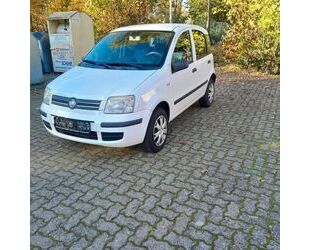 Fiat Fiat Panda Benzin /CNG Gebrauchtwagen