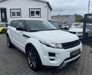 Land Rover Land Rover Range Rover Evoque Dynamic*AHK*KAMERA*P Gebrauchtwagen