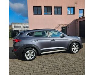 Hyundai Hyundai TUCSON 1.6 T-GDI Premium 4WD AHK Voll Sch Gebrauchtwagen