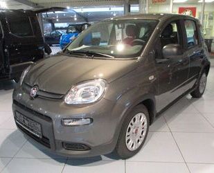 Fiat Fiat Panda 1.0 GSE Mild Hybrid Gebrauchtwagen