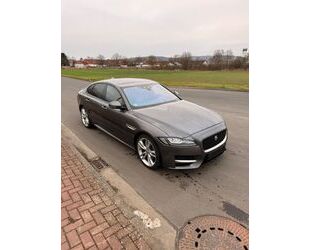 Jaguar Jaguar XF 20d AWD 180PS R-Sport Automatik R-Sport Gebrauchtwagen