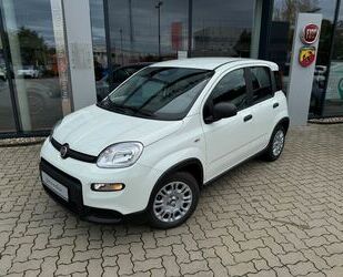 Fiat Panda Gebrauchtwagen