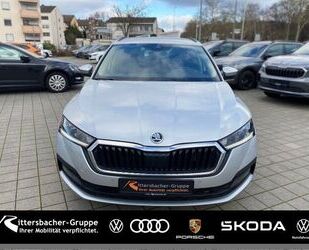 Skoda Skoda Octavia Combi 2.0 TDI DSG Clever AHK Navi 17 Gebrauchtwagen