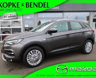 Opel Opel Grandland X*130PS* BUSINESS INNOVATION*LEDER* Gebrauchtwagen