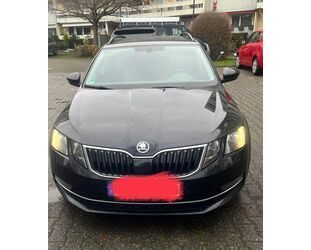 Skoda Skoda Octavia 2.0 TDI DSG Drive Combi Drive Gebrauchtwagen