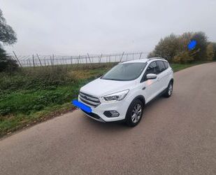 Ford Ford Kuga 1,5 EcoBoost 4x2 110kW Titanium Titanium Gebrauchtwagen