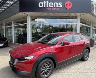 Mazda Mazda CX-30 SKYACTIV-G 2.0 150PS M Hybrid Gebrauchtwagen