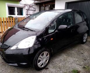 Honda Honda Jazz 1.2 Trend 8-fach bereift guter Zustand Gebrauchtwagen