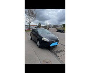 Fiat Fiat Punto 1.4 8V Dynamic Gebrauchtwagen