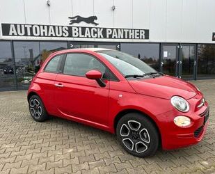 Fiat Fiat 500C Club 1Hand Klima Carplay Navi Modell 202 Gebrauchtwagen