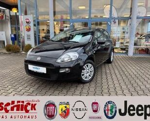 Fiat Fiat Punto 1.2 8v 5-Türer Gebrauchtwagen