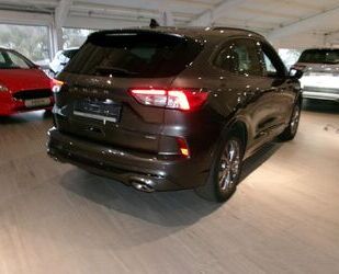 Ford Ford Kuga Plug-In Hybrid ST-Line X Gebrauchtwagen