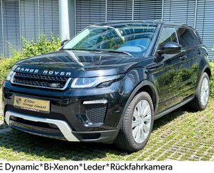 Land Rover Land Rover Range Rover Evoque Dynamic*Bi-Xenon*Kam Gebrauchtwagen