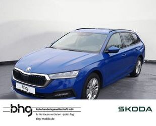 Skoda Skoda Octavia Combi Ambition 2.0 TDI 4x SHZ Smartl Gebrauchtwagen