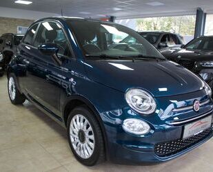 Fiat Fiat 500 1.0 Mild-Hybrid Lounge CarPlay Alu 1.Hand Gebrauchtwagen