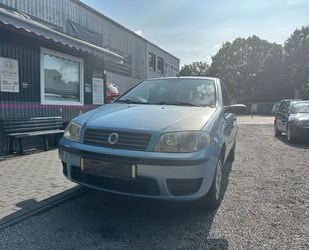 Fiat Fiat Punto 1.2 8V Active Gebrauchtwagen