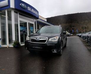 Subaru Subaru Forester XT Platinum-Sport TOP GEPFLEGT! Gebrauchtwagen