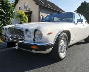 Jaguar Jaguar XJ12 Gebrauchtwagen