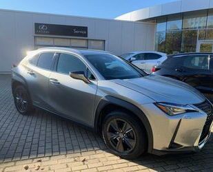 Lexus Lexus UX 250h Amazing Edition, Safety System Gebrauchtwagen