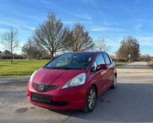 Honda Honda Jazz 1.4 Comfort *TÜV NEU* Gebrauchtwagen