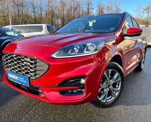 Ford Ford Kuga Plug-In Hybrid ST-Line X schw. AHK, Pano Gebrauchtwagen