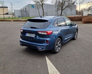 Ford Ford Kuga ST-Line ST-Line Gebrauchtwagen